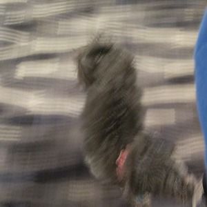 Meet your Posher, Leslie